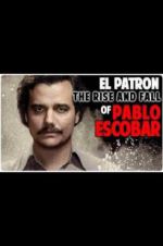 Watch The Rise and Fall of Pablo Escobar Vidbull
