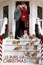 Watch 12 Pups of Christmas Vidbull