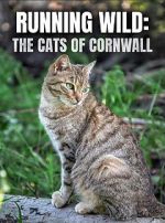 Watch Running Wild: The Cats of Cornwall (TV Special 2020) Vidbull