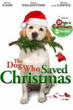 Watch The Dog Who Saved Christmas Vidbull