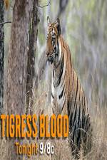Watch Discovery Channel-Tigress Blood Vidbull