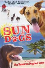 Watch Sun Dogs Vidbull