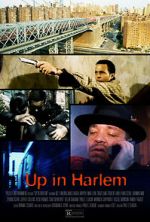 Watch Up in Harlem Vidbull