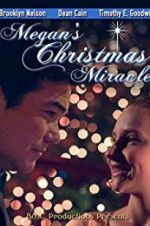 Watch Megan\'s Christmas Miracle Vidbull