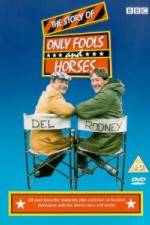 Watch The Story of Only Fools and Horses Vidbull