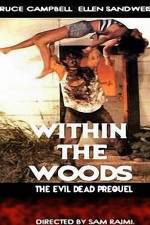 Watch Within the Woods Vidbull