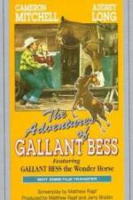 Watch Adventures of Gallant Bess Vidbull