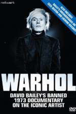 Watch Warhol Vidbull