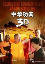 Watch Secrets of Shaolin with Jason Scott Lee Vidbull