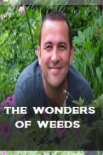 Watch The Wonder Of Weeds Vidbull