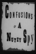 Watch Confusions of a Nutzy Spy Vidbull