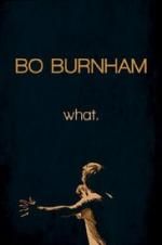 Watch Bo Burnham: what. Vidbull
