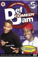 Watch Def Comedy Jam All Stars 5 Vidbull