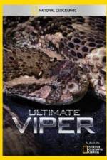 Watch National Geographic Ultimate Viper Vidbull