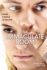Watch The Immaculate Room Vidbull