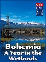 Watch Bohemia: A Year in the Wetlands Vidbull