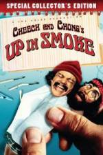 Watch Lighting It Up: A Look Back At Up In Smoke Vidbull