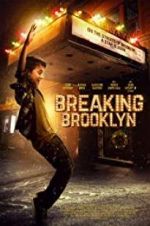 Watch Breaking Brooklyn Vidbull