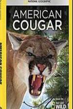 Watch National Geographic - American Cougar Vidbull