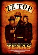 Watch ZZ Top: That Little Ol\' Band from Texas Vidbull