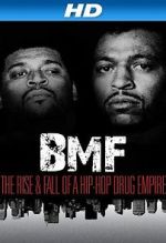 Watch BMF: The Rise and Fall of a Hip-Hop Drug Empire Vidbull
