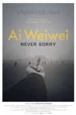 Watch Ai Weiwei Never Sorry Vidbull