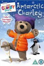 Watch Little Charley Bear - Antarctic Charley Vidbull