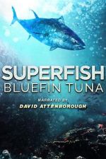 Watch Superfish Bluefin Tuna Vidbull