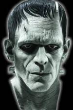 Watch Frankenstein Birth of a Monster Vidbull