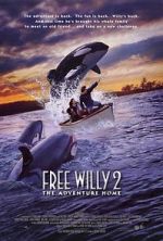 Watch Free Willy 2: The Adventure Home Vidbull