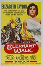 Watch Elephant Walk Vidbull
