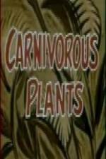 Watch Carnivorous Plants Vidbull