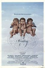 Watch A Wedding Vidbull
