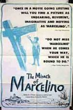 Watch The Miracle of Marcelino Vidbull