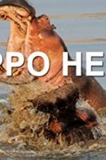 Watch Hippo Hell Vidbull