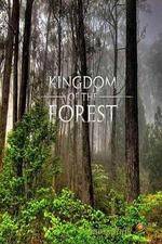 Watch National Geographic Kingdom of the Forest Vidbull