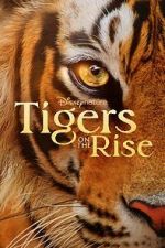 Watch Tigers on the Rise Vidbull