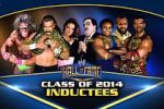 Watch WWE Hall of Fame Vidbull