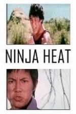 Watch Ninja Heat Vidbull
