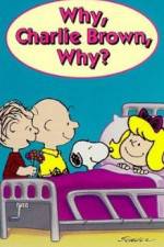 Watch Why Charlie Brown Why Vidbull