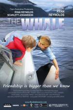 Watch The Whale Vidbull