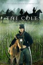 Watch The Colt Vidbull