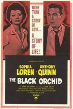 Watch The Black Orchid Vidbull