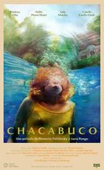 Watch Chacabuco Vidbull
