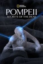 Watch Pompeii: Secrets of the Dead (TV Special 2019) Vidbull