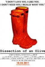 Watch Dissection of an Olive Vidbull