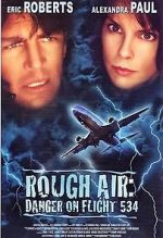 Watch Rough Air: Danger on Flight 534 Vidbull