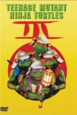 Watch Teenage Mutant Ninja Turtles III Vidbull