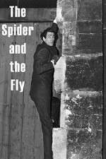 Watch The Spider and the Fly Vidbull
