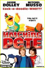 Watch Hatching Pete Vidbull